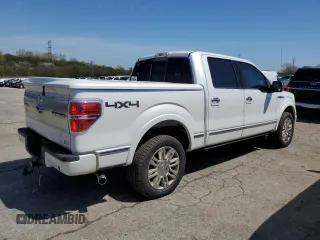 2010 Ford F-150 XL with VIN 1FTFW1EV6AFA91955, listed as a Copart auction lot 54378495 with 182,645 mi miles and Clean Title. Bid and sale history available at carsss.com. Image 3.