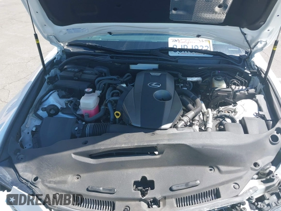2019 Lexus IS with VIN JTHBA1D29K5093953, listed as a IAAI auction lot 41807795 with 28,055 mi miles. Bid and sale history available at carsss.com. Image 10.