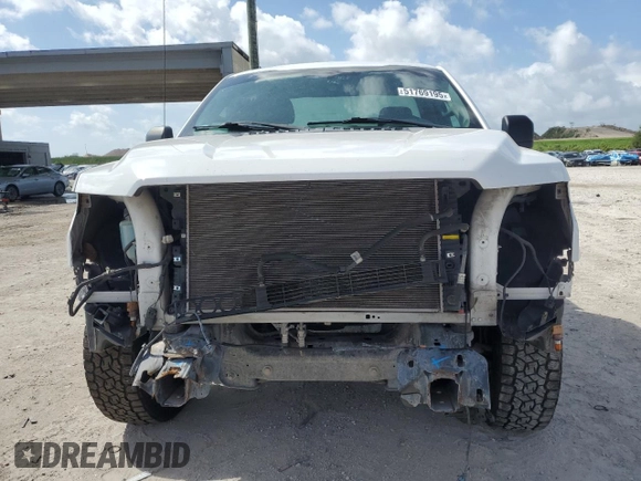 2016 Ford F-150 XL with VIN 1FTMF1C8XGKD85931, listed as a Copart auction lot 51769195 with 182,856 mi miles and Salvage Title. Bid and sale history available at DreamBid. Image 5.
