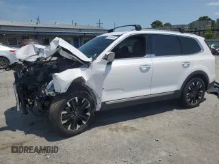 2023 Kia Telluride SX Prestige with VIN 5XYP5DGC5PG357394, listed as a Copart auction lot 59444805 with 54,909 mi miles and Salvage title. Bid and sale history available at DreamBid. Image 1.