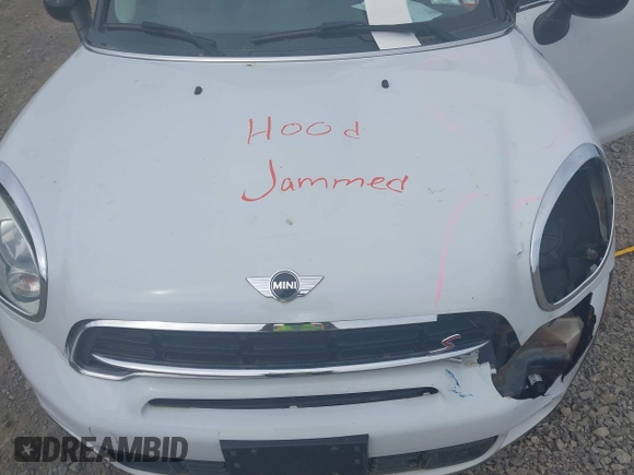 2015 MINI Countryman S with VIN WMWZC5C59FWM18935, listed as a IAAI auction lot 42427878 with 121,410 mi miles and . Bid and sale history available at DreamBid. Image 10.