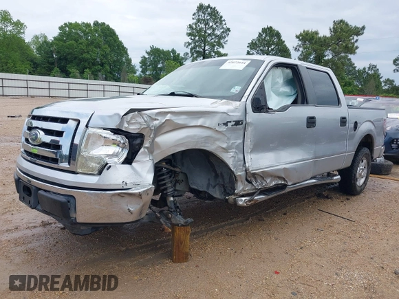 2010 Ford F-150 XL with VIN 1FTEW1C86AFB15213, listed as a IAAI auction lot 42072644 with 234,058 mi miles. Bid and sale history available at carsss.com. Image 2.
