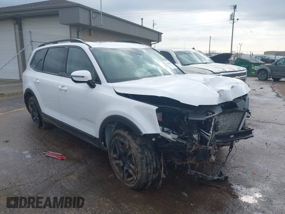 2024 Kia Telluride SX Prestige X-Pro with VIN 5XYP5DGC6RG538930, listed as a IAAI auction lot 42135844 with 24,791 mi miles and . Bid and sale history available at DreamBid. Image 1.