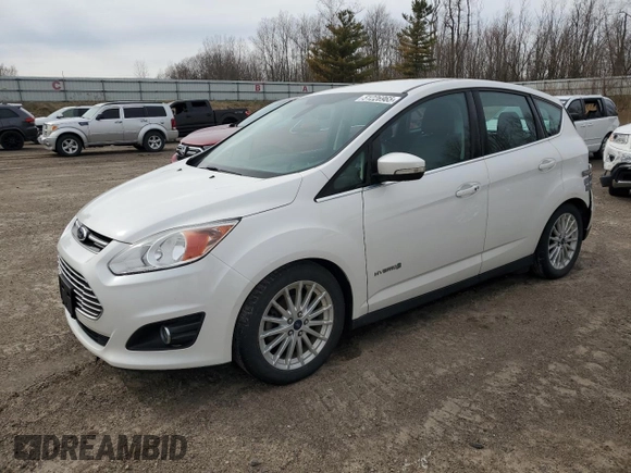 2016 Ford C-Max SEL with VIN 1FADP5BUXGL116573, listed as a Copart auction lot 51226965 with 113,787 mi miles and Clean Title. Bid and sale history available at DreamBid. Image 1.