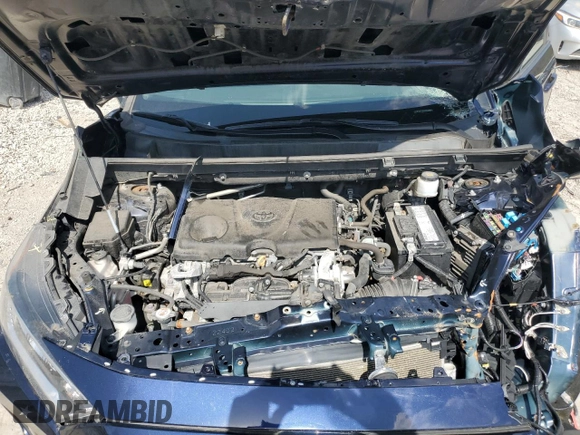 2019 Toyota RAV4 XLE with VIN 2T3P1RFV5KW059014, listed as a Copart auction lot 51770985 with 110,347 mi miles and Salvage Title. Bid and sale history available at carsss.com. Image 12.