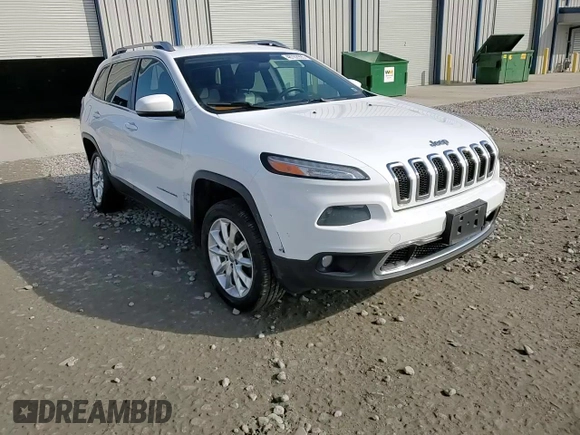 2014 Jeep Cherokee Limited with VIN 1C4PJMDB4EW296630, listed as a Copart auction lot 48702995 with 231,534 mi miles and Salvage Title. Bid and sale history available at DreamBid. Image 14.