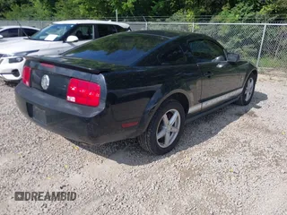 2008 Ford Mustang Deluxe with VIN 1ZVHT80N285196801, listed as a IAAI auction lot 42685201 with 303,943 mi miles and . Bid and sale history available at DreamBid. Image 4.