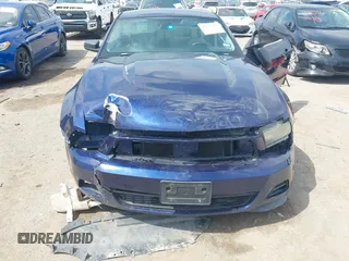 2010 Ford Mustang V6 with VIN 1ZVBP8AN9A5140305, listed as a IAAI auction lot 42171784 with 218,434 mi miles and . Bid and sale history available at DreamBid. Image 6.