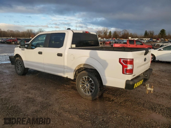 2020 Ford F-150 with VIN 1FTEW1P41LKF21496, listed as a Copart auction lot 81528664 with Not provided miles and Salvage title. Bid and sale history available at DreamBid. Image 2.