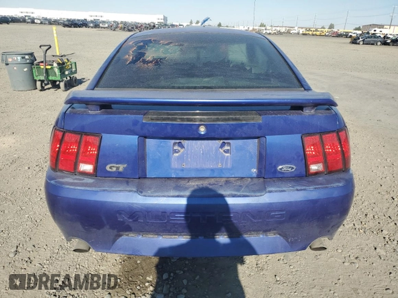 2003 Ford Mustang GT Deluxe with VIN 1FAFP42X13F320605, listed as a Copart auction lot 65006765 with 144,718 mi miles and Clean title. Bid and sale history available at DreamBid. Image 6.