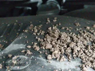 2016 Hyundai Sonata Limited с VIN 5NPE34AF8GH423140, выставлен на аукционе IAAI как лот 40863337 с пробегом 121 242 миль миль и . История ставок и продаж доступна на DreamBid. Изображение 19.