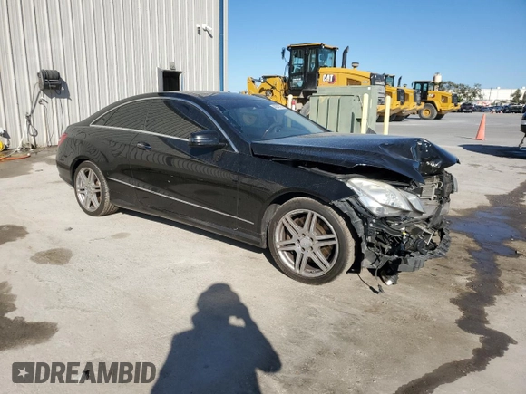 2010 Mercedes-Benz E-Class E 550 with VIN WDDKJ7CB1AF033072, listed as a Copart auction lot 48242735 with 125,269 mi miles and Salvage Title. Bid and sale history available at carsss.com. Image 4.
