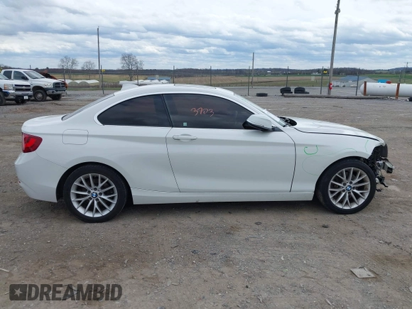 2016 BMW 2 Series 228i xDrive with VIN WBA1G9C56GV599797, listed as a IAAI auction lot 41923703 with 158,404 mi miles and . Bid and sale history available at DreamBid. Image 13.