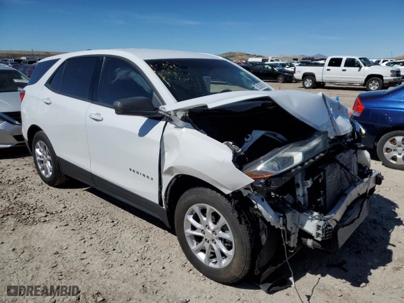 2019 Chevrolet Equinox LS with VIN 3GNAXHEVXKS626192, listed as a Copart auction lot 50269295 with 123,162 mi miles and Salvage Title. Bid and sale history available at carsss.com. Image 4.
