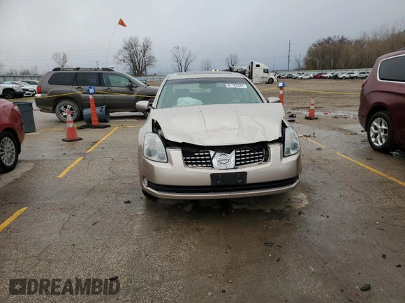2004 Nissan Maxima SL with VIN 1N4BA41E44C893078, listed as a Copart auction lot 81782444 with Not Provided miles and Salvage Title. Bid and sale history available at DreamBid. Image 5.