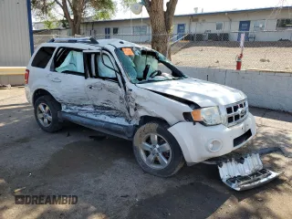 2010 Ford Escape Limited with VIN 1FMCU9EG5AKD32965, listed as a Copart auction lot 59765695 with Not provided miles and Salvage title. Bid and sale history available at DreamBid. Image 4.
