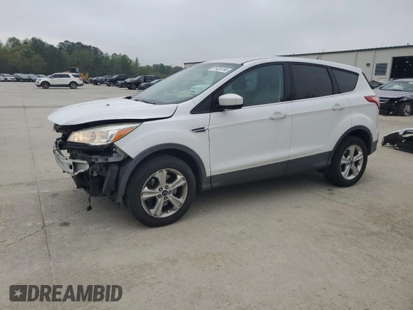 2014 Ford Escape SE with VIN 1FMCU9GX8EUA54151, listed as a Copart auction lot 51424195 with 173,161 mi miles and Salvage title. Bid and sale history available at DreamBid. Image 1.