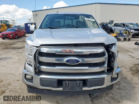 2017 Ford F-150 XL with VIN 1FTEW1EG1HKE48733, listed as a Copart auction lot 61860995 with 180,898 mi miles and Salvage title. Bid and sale history available at DreamBid. Image 5.