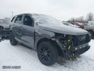 2019 Land Rover Discovery Sport HSE with VIN SALCR2FX0KH824774, listed as a IAAI auction lot 41202224 with NaN miles. Bid and sale history available at carsss.com. Image 1.