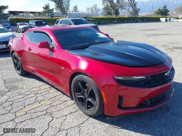 2019 Chevrolet Camaro 1LT with VIN 1G1FA1RXXK0117139, listed as a IAAI auction lot 41809598 with 24,286 mi miles. Bid and sale history available at carsss.com. Image 1.