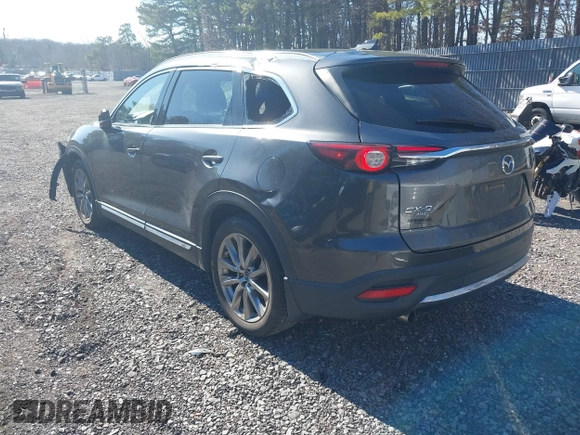 2019 Mazda CX-9 Grand Touring with VIN JM3TCBDY3K0307964, listed as a IAAI auction lot 41706594 with 170,596 mi miles and . Bid and sale history available at DreamBid. Image 3.