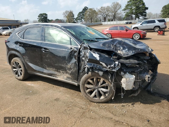 2017 Lexus NX with VIN JTJYARBZ6H2066520, listed as a Copart auction lot 49234295 with 0 mi miles and Salvage Title. Bid and sale history available at carsss.com. Image 4.