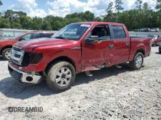 2014 Ford F-150 XL with VIN 1FTEW1CMXEFA90254, listed as a Copart auction lot 61789495 with 126,489 mi miles and Salvage title. Bid and sale history available at DreamBid. Image 1.