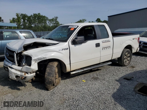 2013 Ford F-150 XL z VIN 1FTFX1EF8DFD70057, wystawiony jako Copart lot #55306415 z przebiegiem Nie podano mil oraz Szkoda całkowita • Salvage title. Historia ofert i sprzedaży dostępna na DreamBid. Obrazek 1.