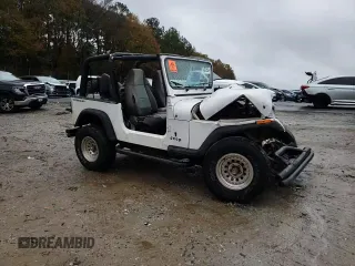 1995 Jeep Wrangler S with VIN 1J4FY19P7SP205053, listed as a Copart auction lot 84003534 with 215,769 mi miles and Salvage Title. Bid and sale history available at carsss.com. Image 10.