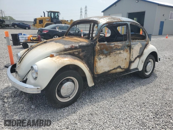 1969 Volkswagen Beetle with VIN 119235264, listed as a Copart auction lot 55211595 with Not Provided miles and Salvage Title. Bid and sale history available at DreamBid. Image 1.