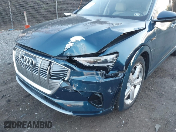 2019 Audi e-tron Prestige with VIN WA1VABGE0KB011579, listed as a IAAI auction lot 41027812 with 41,549 mi miles and . Bid and sale history available at DreamBid. Image 6.