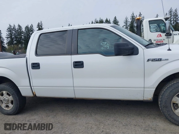 2011 Ford F-150 XL with VIN 1FTFW1EF1BFC77879, listed as a IAAI auction lot 42008883 with 258,812 mi miles. Bid and sale history available at carsss.com. Image 13.