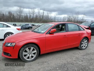 2011 Audi A4 Premium with VIN WAUDFAFL2BA110257, listed as a Copart auction lot 50890395 with 0 mi miles and Salvage Title. Bid and sale history available at carsss.com. Image 1.