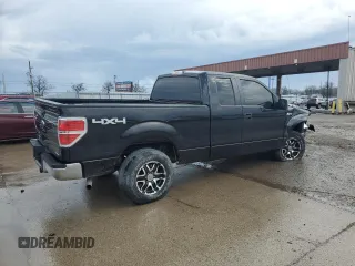 2011 Ford F-150 XL with VIN 1FTEX1EM7BFA25349, listed as a Copart auction lot 50865165 with 140,824 mi miles and Salvage title. Bid and sale history available at DreamBid. Image 3.