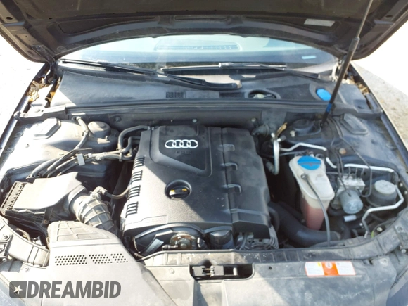 2010 Audi A4 2.0T Premium Plus with VIN WAUEFAFL5AN045612, listed as a IAAI auction lot 42009402 with 147,366 mi miles. Bid and sale history available at carsss.com. Image 10.