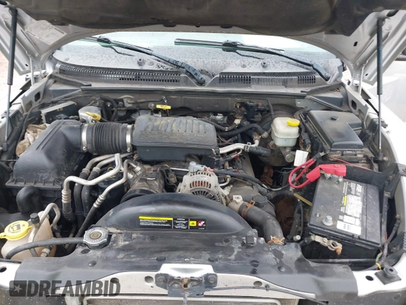 2005 Dodge Dakota SLT with VIN 1D7HW48N65S199887, listed as a IAAI auction lot 42508977 with 192,330 mi miles and . Bid and sale history available at DreamBid. Image 10.