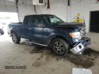 2013 Ford F-150 XL with VIN 1FTFX1EF0DFD99679, listed as a Copart auction lot 57461065 with 216,138 mi miles and Salvage title. Bid and sale history available at DreamBid. Image 4.