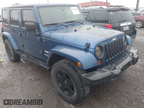 2010 Jeep Wrangler Unlimited Sahara with VIN 1J4BA5H17AL166915, listed as a IAAI auction lot 41561508 with 252,337 mi miles. Bid and sale history available at carsss.com. Image 6.