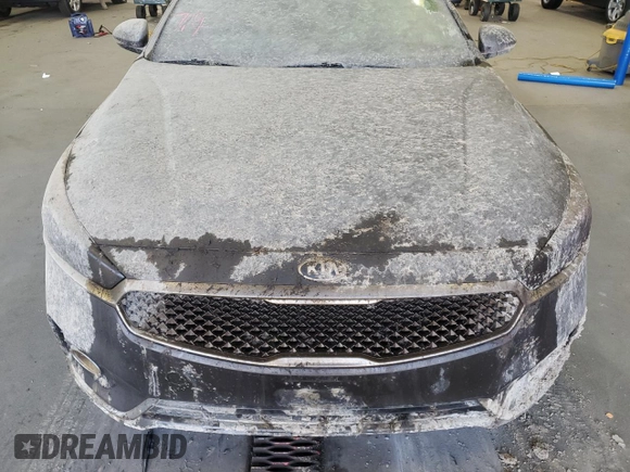 2017 Kia Cadenza Premium with VIN KNALC4J14H5083267, listed as a Copart auction lot 78030244 with 0 mi miles and Salvage Title. Bid and sale history available at carsss.com. Image 11.