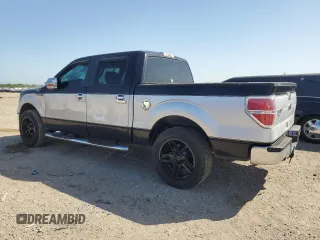 2009 Ford F-150 XL with VIN 1FTRW12849FA12273, listed as a Copart auction lot 52548555 with 190,892 mi miles and Salvage Title. Bid and sale history available at carsss.com. Image 2.
