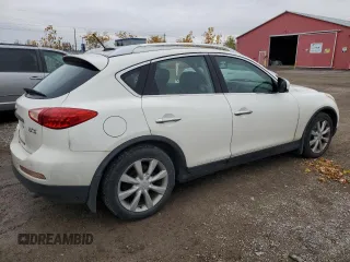 2009 Infiniti EX Journey with VIN JNKAJ09F09M950596, listed as a Copart auction lot 76023074 with 299,188 mi miles and Clean Title. Bid and sale history available at carsss.com. Image 3.