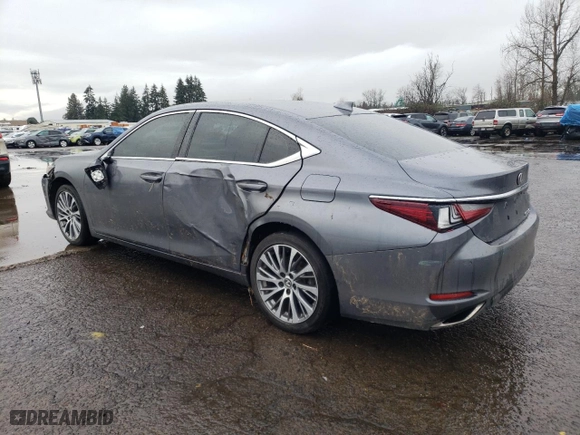 2019 Lexus ES with VIN 58ABZ1B12KU036587, listed as a Copart auction lot 87440624 with NaN miles and Salvage Title. Bid and sale history available at carsss.com. Image 2.