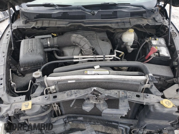 2010 Dodge 1500 TRX with VIN 1D7RV1GT3AS116223, listed as a Copart auction lot 51526625 with 238,258 mi miles and Clean Title. Bid and sale history available at carsss.com. Image 13.