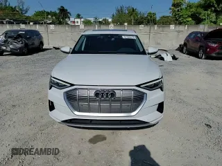 2022 Audi e-tron Premium z VIN WA1AAAGE0NB023860, wystawiony jako Copart lot #57395415 z przebiegiem 52 335 mil mil oraz Nie do naprawy. Historia ofert i sprzedaży dostępna na DreamBid. Obrazek 15.
