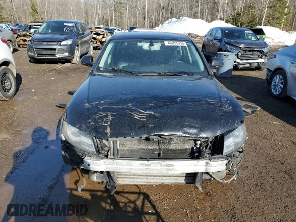 2009 Audi A4 with VIN WAULF68K79N031358, listed as a Copart auction lot 48255455 with Not provided miles and Clean title. Bid and sale history available at DreamBid. Image 5.