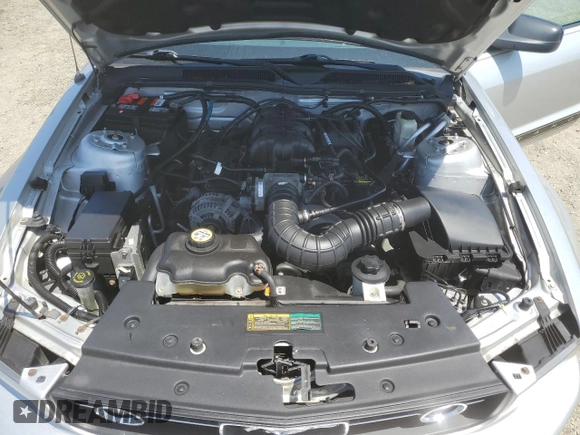 2009 Ford Mustang z VIN 1ZVHT80N595137873, wystawiony jako Copart lot #60161505 z przebiegiem Nie podano mil oraz Szkoda całkowita • Salvage title. Historia ofert i sprzedaży dostępna na DreamBid. Obrazek 11.