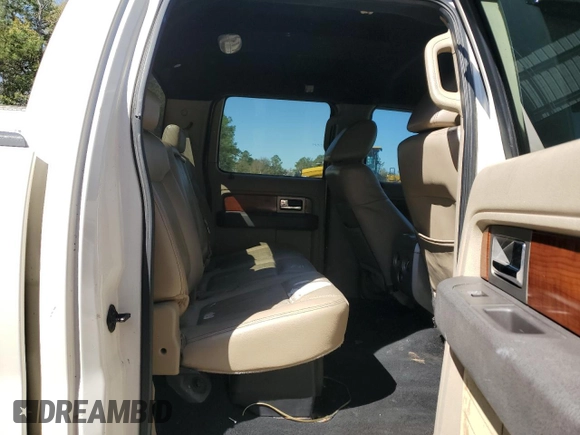 2009 Ford F-150 XL with VIN 1FTPW12V39FA04601, listed as a Copart auction lot 48905855 with 0 mi miles and Clean Title. Bid and sale history available at carsss.com. Image 10.