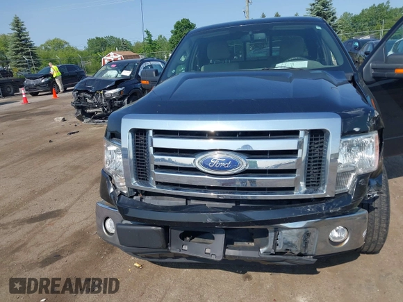2009 Ford F-150 STX with VIN 1FTRX12859FB10421, listed as a IAAI auction lot 42396272 with 130,864 mi miles and . Bid and sale history available at DreamBid. Image 6.