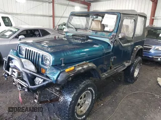 1995 Jeep Wrangler S with VIN 1J4FY19P0SP262341, listed as a IAAI auction lot 41672136 with 161,979 mi miles. Bid and sale history available at carsss.com. Image 17.