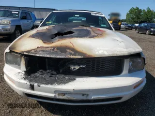 2005 Ford Mustang Deluxe with VIN 1ZVFT84N755194037, listed as a Copart auction lot 61485405 with Not provided miles and Salvage title. Bid and sale history available at DreamBid. Image 5.